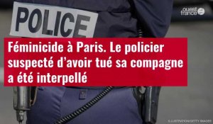 VIDÉO. Féminicide à Paris : le policier suspecté d’avoir tué sa compagne a été interpellé