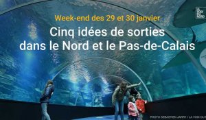 Nos cinq idées de sorties dans le Nord et le Pas-de-Calais pour le week-end des 29 et 30 janvier