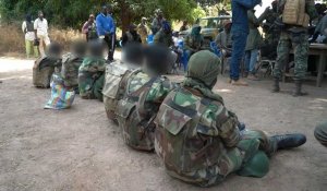 Gambie: 7 soldats sénégalais libérés par des rebelles de Casamance