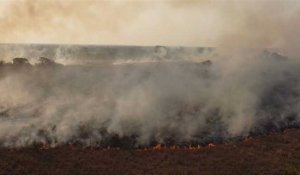 "Espérons qu'il pleuve": les feux de forêt font rage dans le nord de l'Argentine