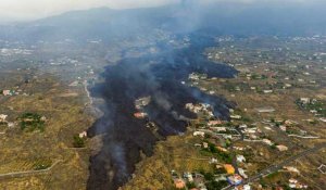 Éruption volcanique aux Canaries : coulées de lave et évacuations