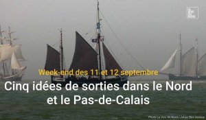 Les sorties du week-end des 11 et 12 septembre dans le Nord et le Pas-de-Calais