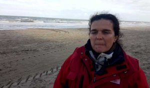 Bray-Dunes: les collectivités du littoral ratissent le sable pour un exercice de pollution