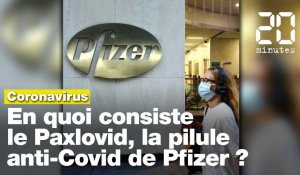Coronavirus : En quoi consiste le Paxlovid, la pilule anti-Covid de Pfizer ?