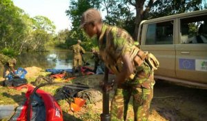 En Centrafrique, le défi des éco-gardes face à la guerre et au braconnage