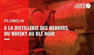 VIDÉO. À Plomelin, la distillerie des Menhirs produit un whisky bien particulier