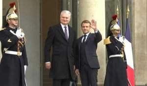 Emmanuel Macron reçoit le président de Lituanie à l'Elysée