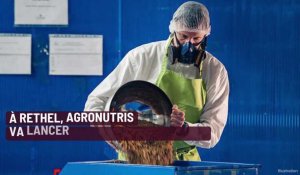 Ardennes: un élevage industriel de mouches en vue à Rethel