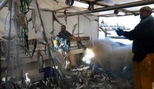 Accord de l’Union européenne sur les quotas de pêche en 2022