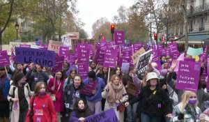 Manifestation contre les violences sexistes qui "détruisent à vie"
