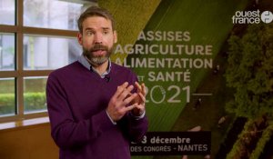 "Le climat de l'Anjou est intéressant pour la culture du quinoa" Jason Abbott, initiateur avec la CAPL de la filière Quinoa en Anjou