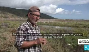 Tunisie : un système d'irrigation menacé par le réchauffement climatique