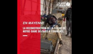 VIDÉO. Notre-Dame de Paris : le sciage des chênes pour la future flèche a débuté en Mayenne
