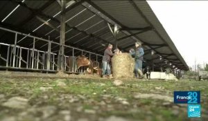 Famille Auvillain : Agriculteurs bio, de père en fille