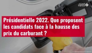 VIDÉO. Présidentielle 2022. Que proposent les candidats face à la hausse des prix du carburant ?