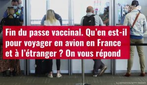 VIDÉO. Fin du passe vaccinal. Qu’en est-il pour voyager en avion en France et à l’étranger ?