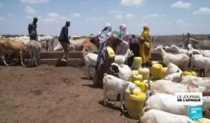 Sécheresse en Afrique de l'Est : au Kenya, le comté d'Isiolo sans pluie depuis deux ans