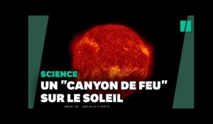 Un "canyon de feu" apparu à la surface du Soleil fait 5 fois la taille de la Terre