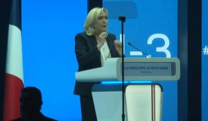 "Je vous conjure d'aller voter": Marine Le Pen veut mobiliser les abstentionnistes