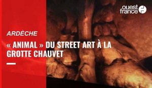 VIDÉO. « Animal » du street art à la grotte Chauvet