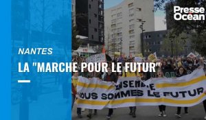 VIDÉO. Pourquoi la « Marche pour le futur » à Nantes avait un sens ?