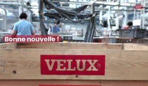 Feuquières-en-Vimeu : l'usine Velux prend des initiatives écologiques