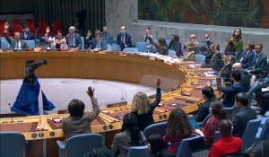 Somalie: le Conseil de sécurité de l'ONU vote à l'unanimité pour une nouvelle force de paix