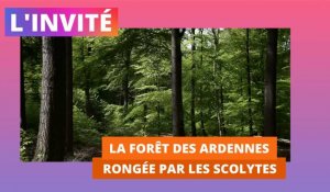 L'Ardennais publie un magazine sur la forêt des Ardennes