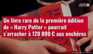 VIDÉO. Un livre rare de la première édition de « Harry Potter » pourrait s’arracher à 120 000 € aux enchères