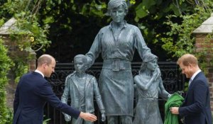 Brouillés, William et Harry se retrouvent pour un hommage à leur mère Lady Diana