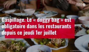 VIDÉO. Le « doggy bag » est obligatoire dans les restaurants depuis ce jeudi 1er juillet