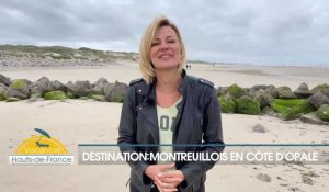 Vacances Hauts-de-France : Destination : Montreuillois en Côte d'Opale