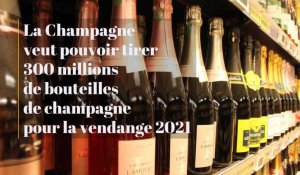 La Champagne veut pouvoir tirer 300 millions de bouteilles de champagne