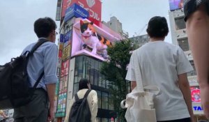 Un immense chat en 3D salue les passants au Japon