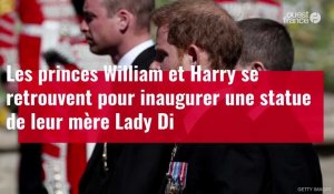 VIDÉO. Les princes William et Harry inaugurent une statue en hommage à Lady Di