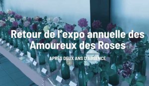 Le retour des roses à Romilly-sur-Seine