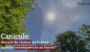 Canicule: Record de chaleur en France, quelles conséquences sur le travail?
