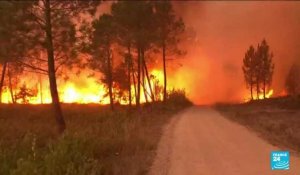 Nouvel épisode caniculaire en France : 1 700 hectares brûlés en Gironde