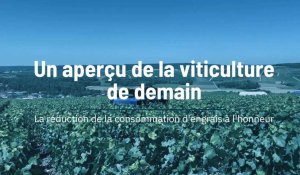 Un aperçu de la viticulture de demain 