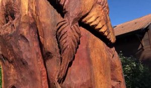 Sculpture sur un sequoia a douvaine