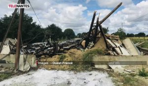 Pannecé : un cheptel de 8000 poussins décimé par un incendie
