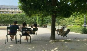 Canicule: Parisiens et touristes cherchent la fraîcheur dans les parcs