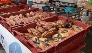 Fête du crabe : nos conseils pour bien cuire son crustacé