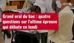 VIDÉO. Grand oral du bac : quatre questions sur l'ultime épreuve qui débute ce lundi