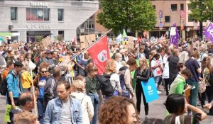 Rotterdam: une marche pour le climat est organisée, à l'appel notamment de Greenpeace