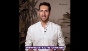 Séminaires d'entreprise: les start-up Bird Office et Kactus annoncent leur fusion