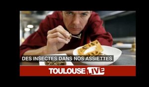À Toulouse, Micronutris met des insectes dans nos assiettes