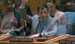 ONU : veto de la Russie à une extension de l'autorisation d'aide transfrontalière à la Syrie