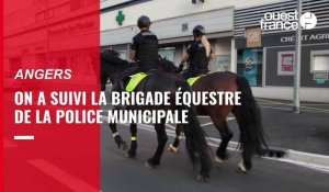 VIDÉO. La police à cheval à Angers, une approche apaisante de la sécurité