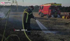 Un risque "sévère" d'incendies en Loire-Atlantique